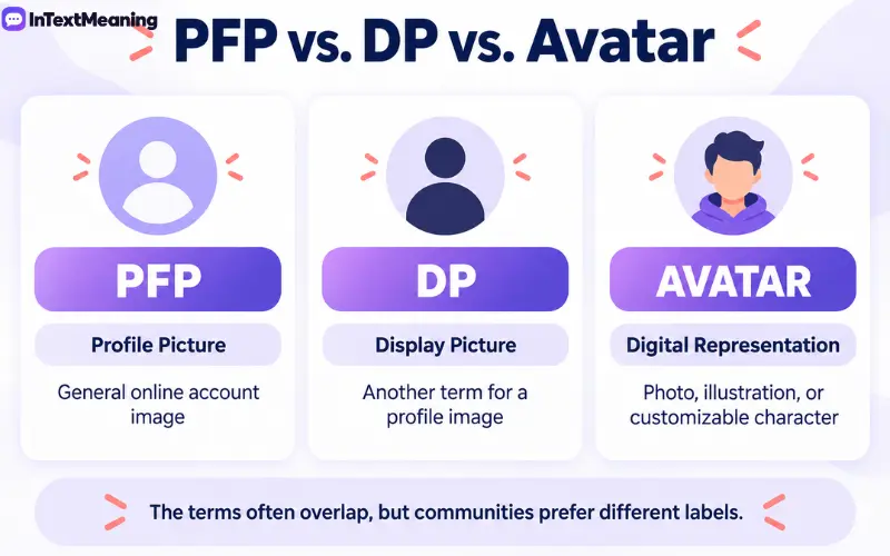 pfp meaning in text