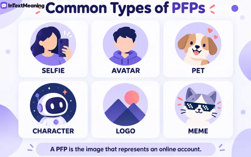 pfp meaning in text