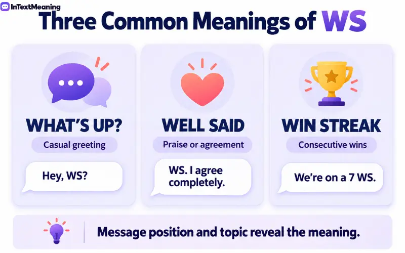 ws meaning in text
