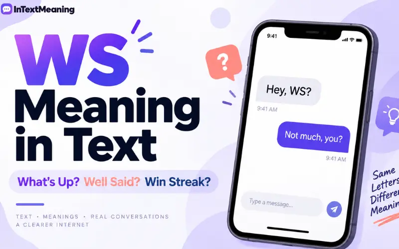 ws meaning in text